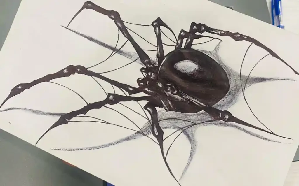 Spider Drawings