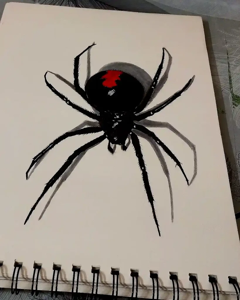 Spider Drawings