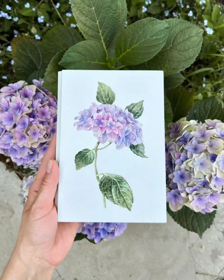 watercolor hydrangea (31)