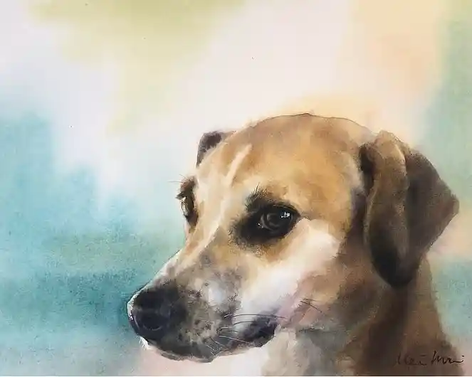 Watercolor Animal Drawing Ideas