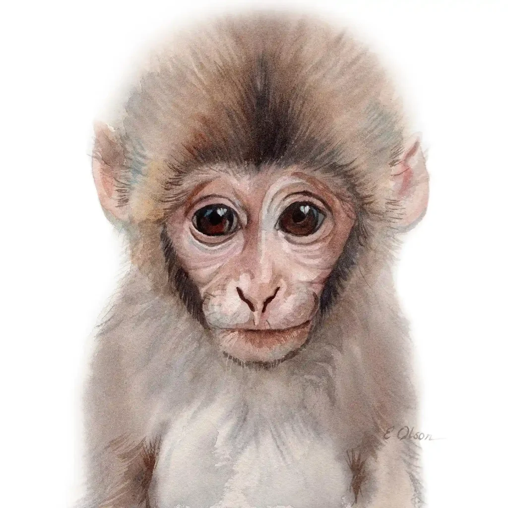 Watercolor Animal Drawing Ideas