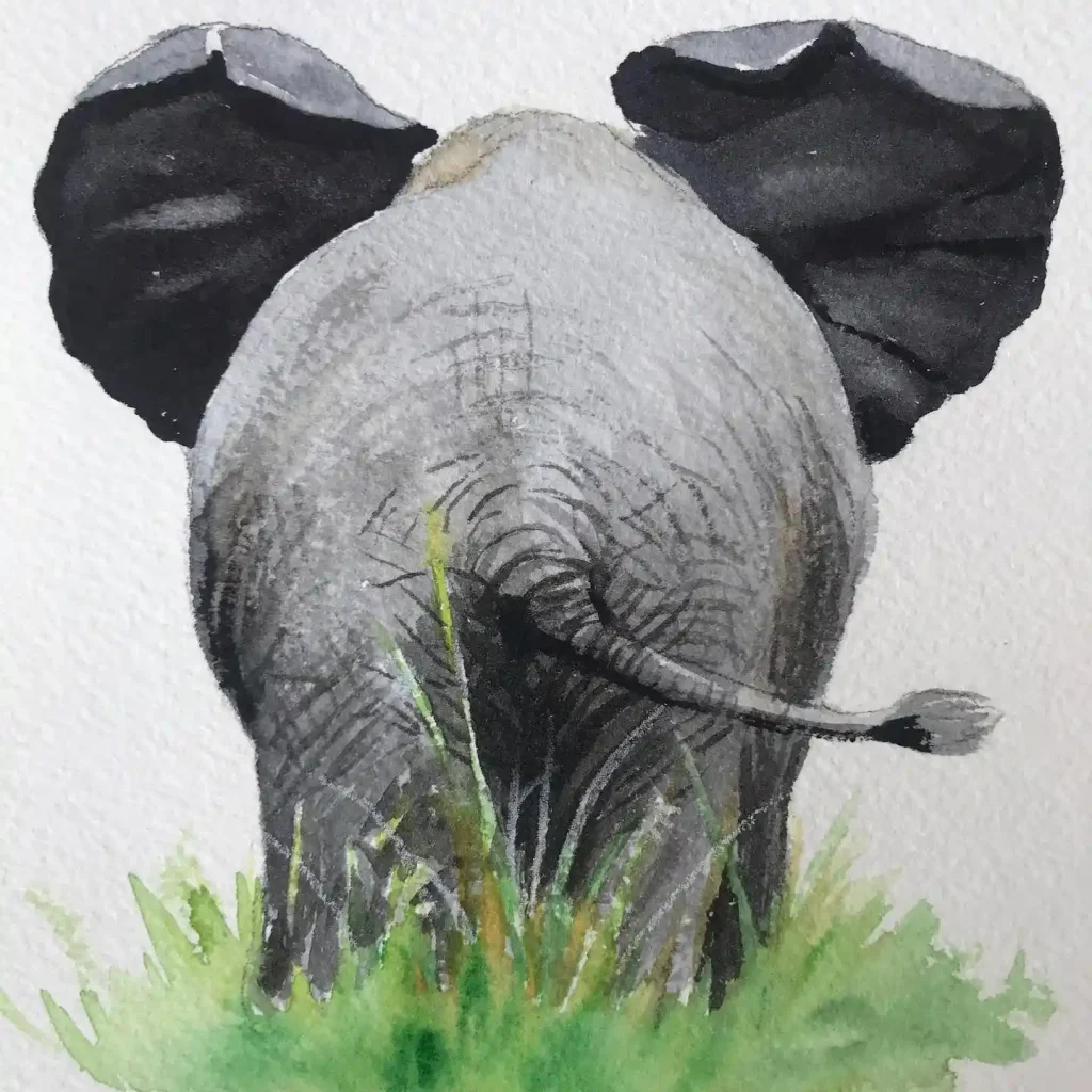 Watercolor Animal Drawing Ideas