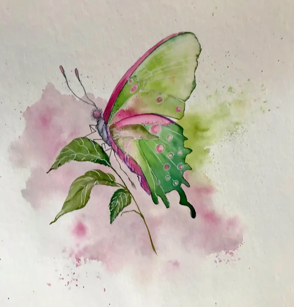 Watercolor Butterfly Drawing Ideas