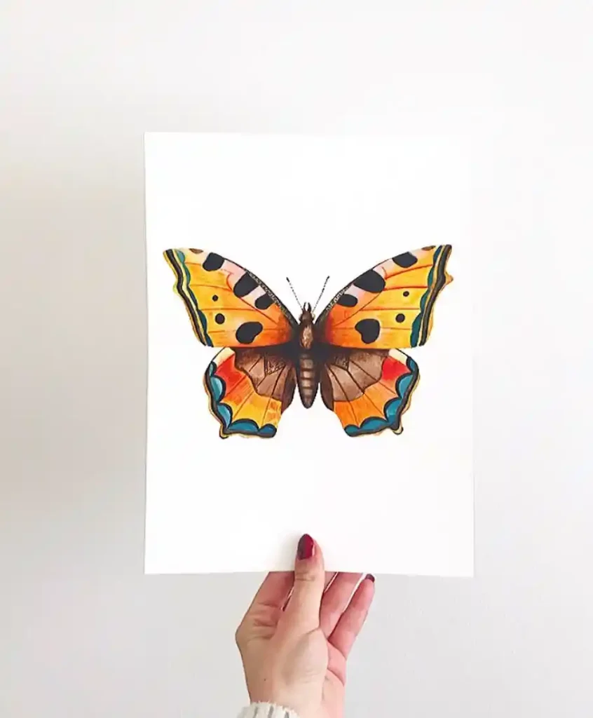 Watercolor Butterfly Drawing Ideas
