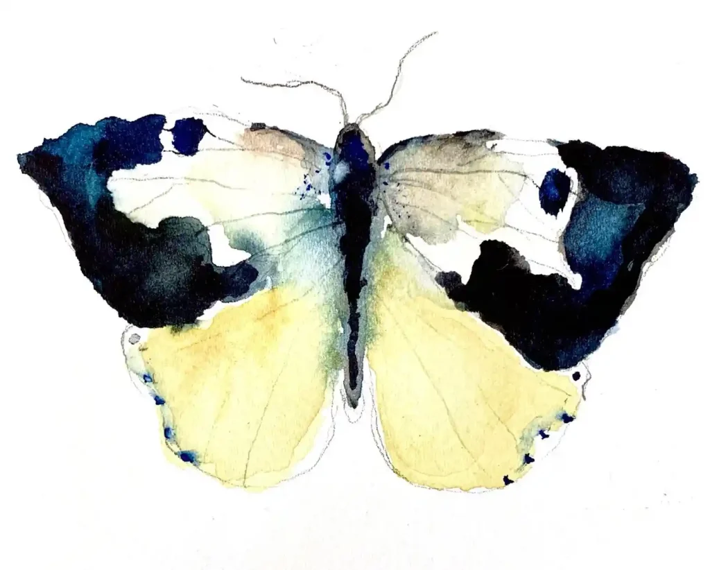 Watercolor Butterfly Drawing Ideas
