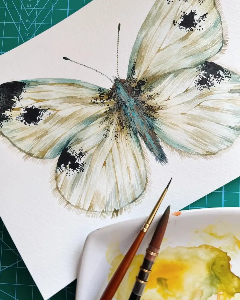 Watercolor Butterfly Drawing Ideas