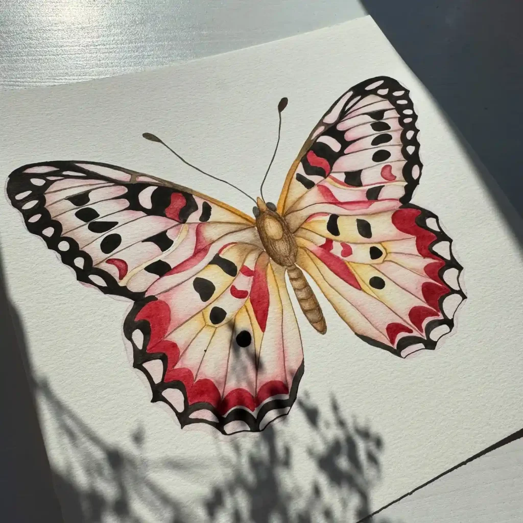 Watercolor Butterfly Drawing Ideas