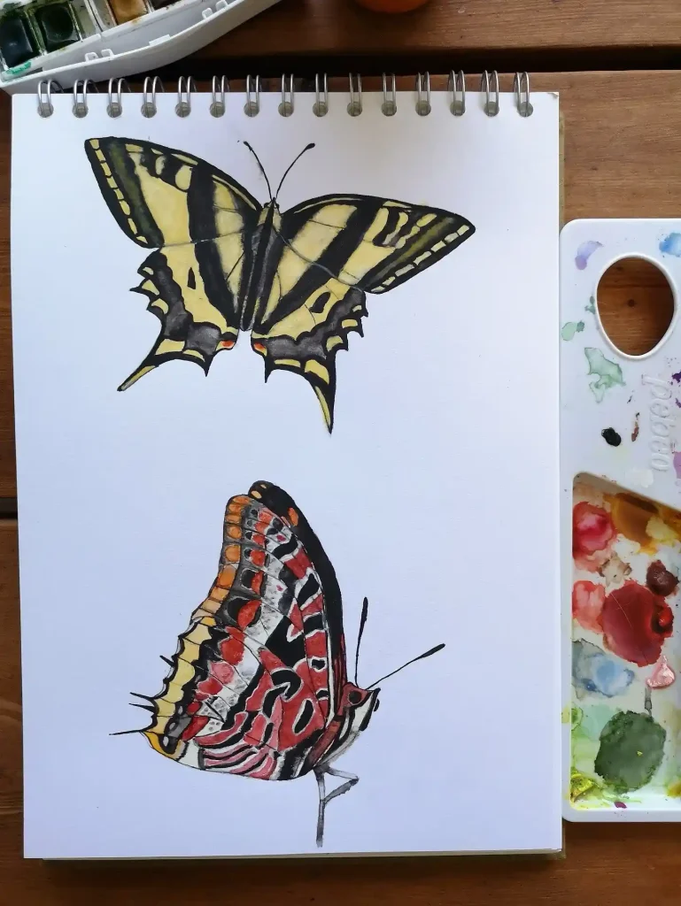 Watercolor Butterfly Drawing Ideas