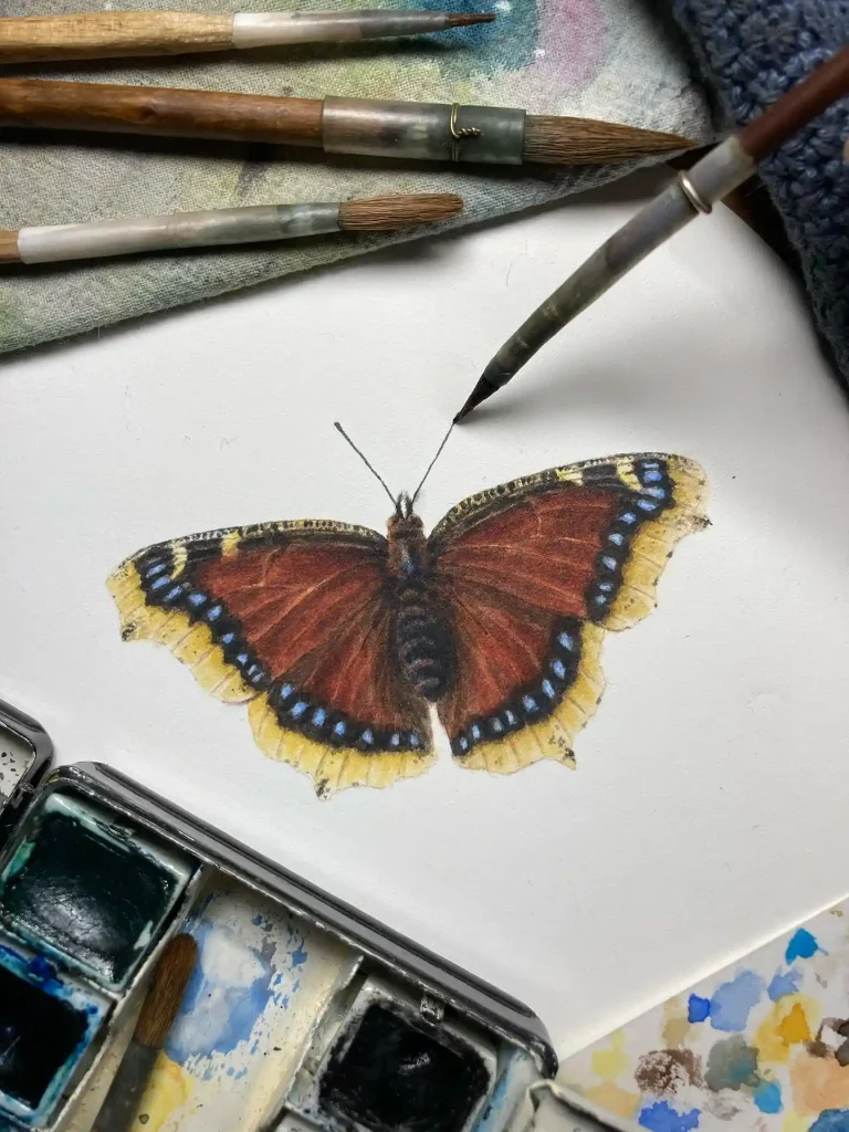Watercolor Butterfly Drawing Ideas