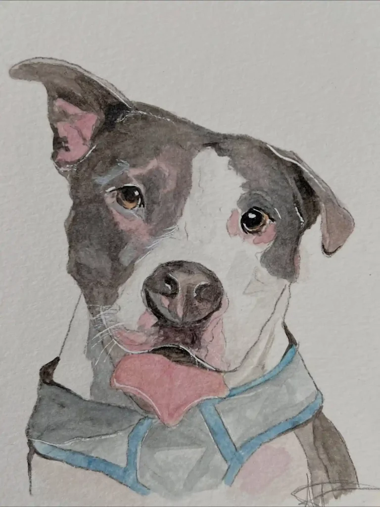 Watercolor Dog Drawing Ideas