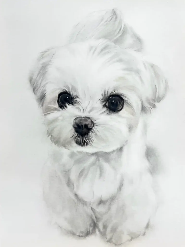 Watercolor Dog Drawing Ideas