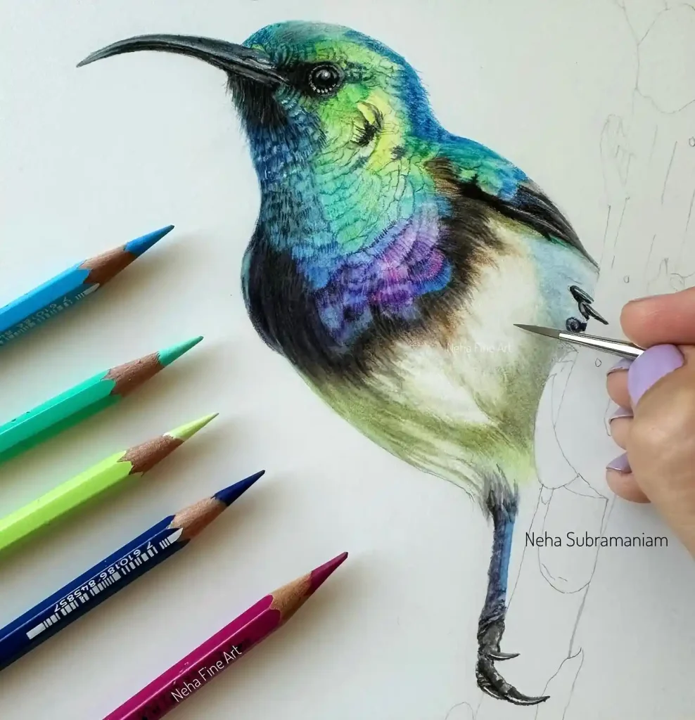 Watercolor Hummingbird Drawing Ideas