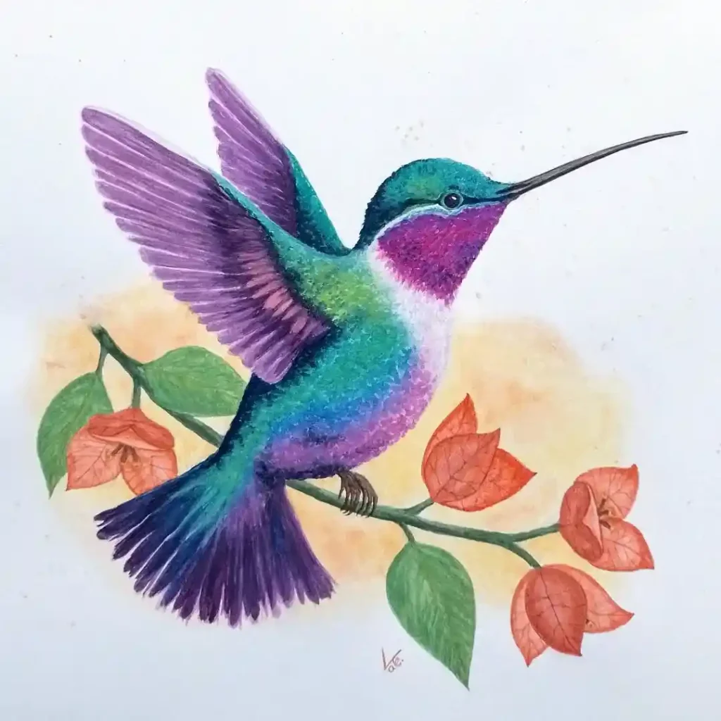 Watercolor Hummingbird Drawing Ideas