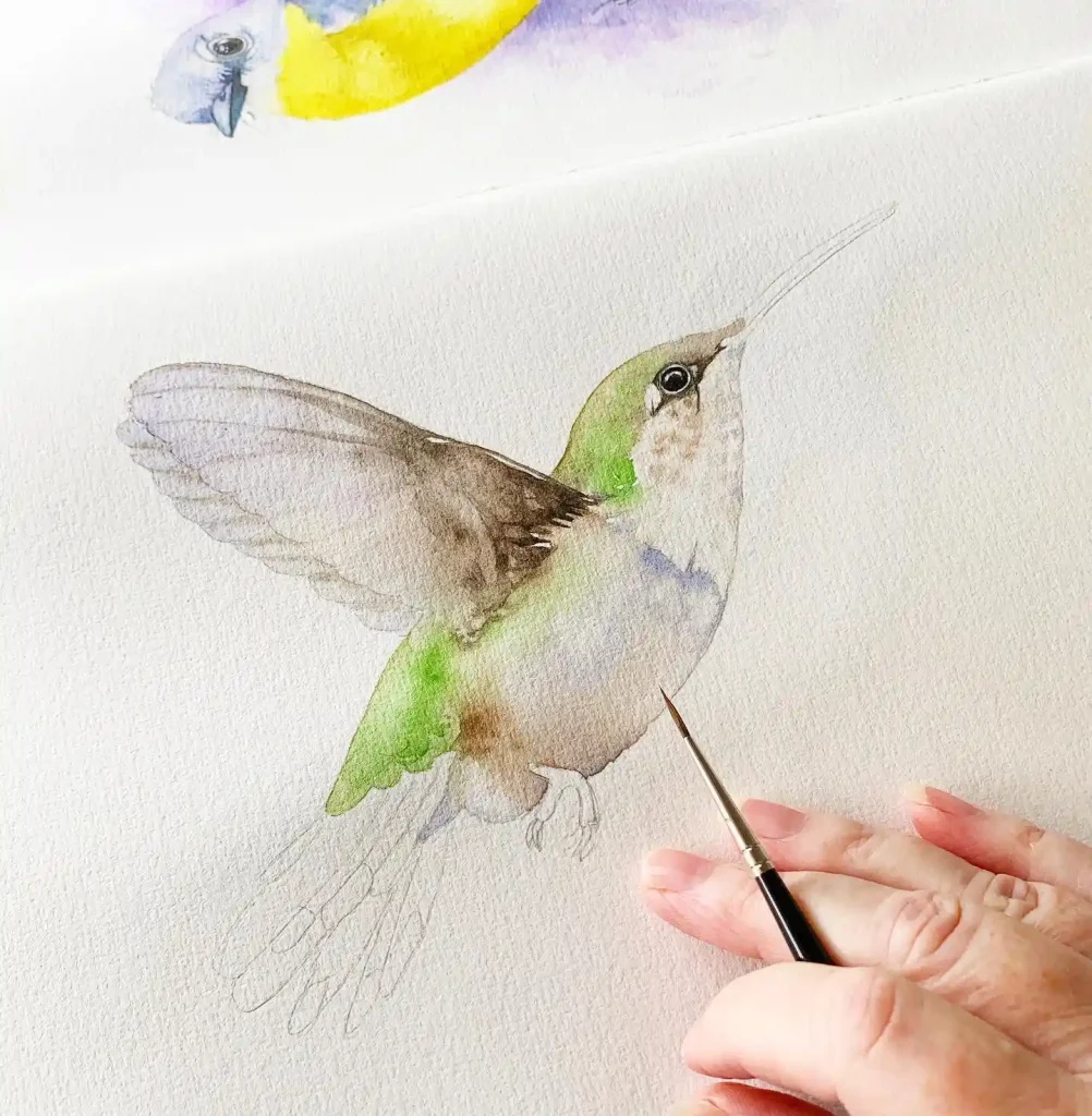 Watercolor Hummingbird Drawing Ideas
