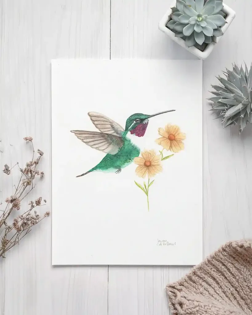Watercolor Hummingbird Drawing Ideas