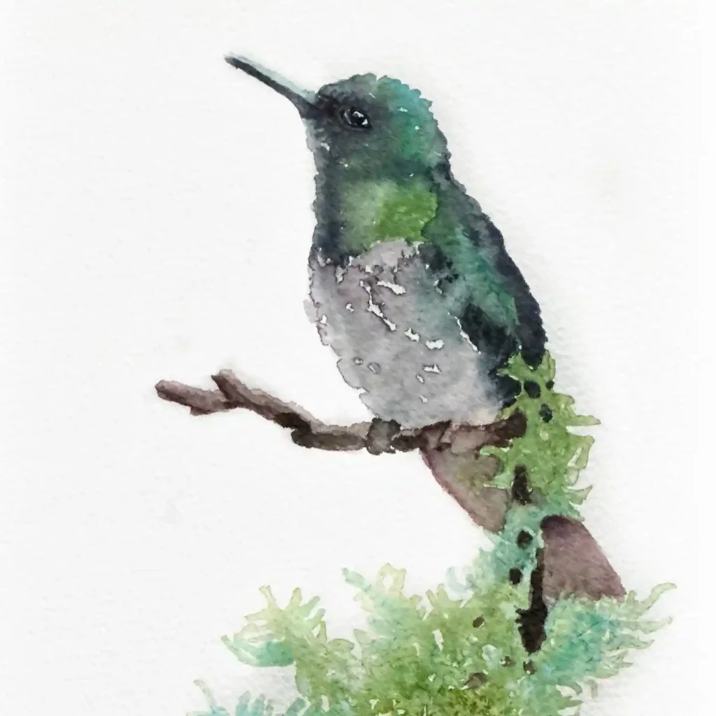 Watercolor Hummingbird Drawing Ideas