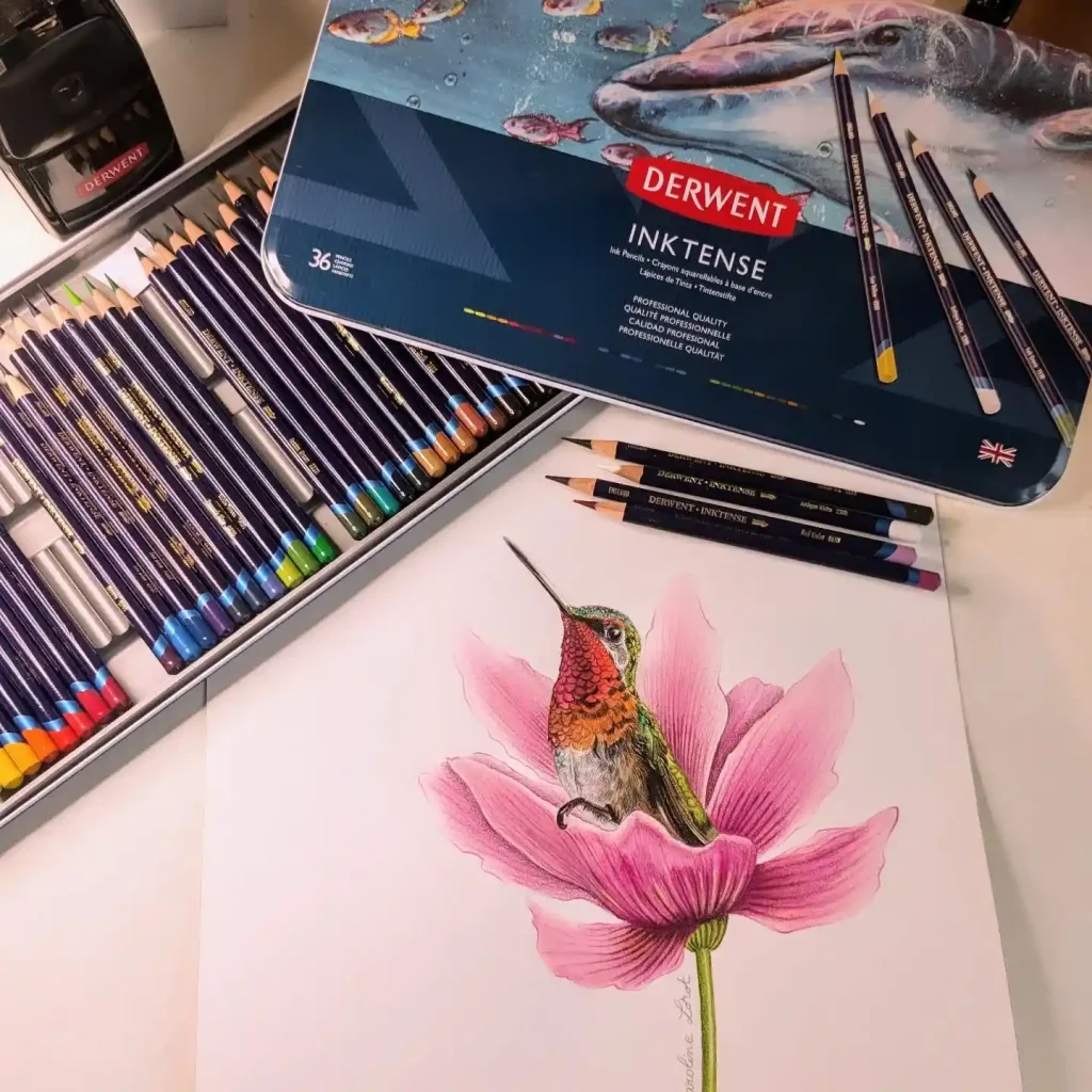Watercolor Hummingbird Drawing Ideas