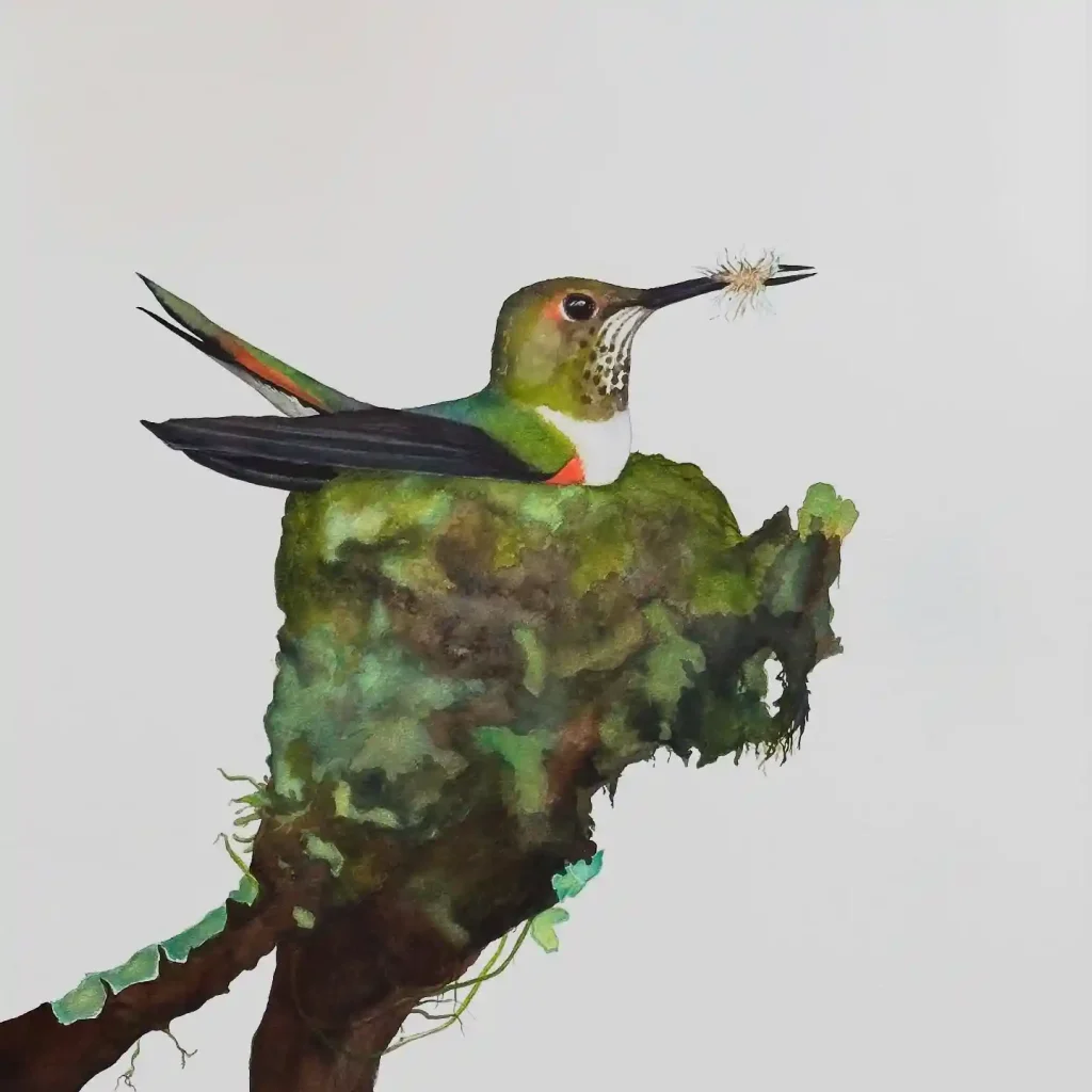 Watercolor Hummingbird Drawing Ideas