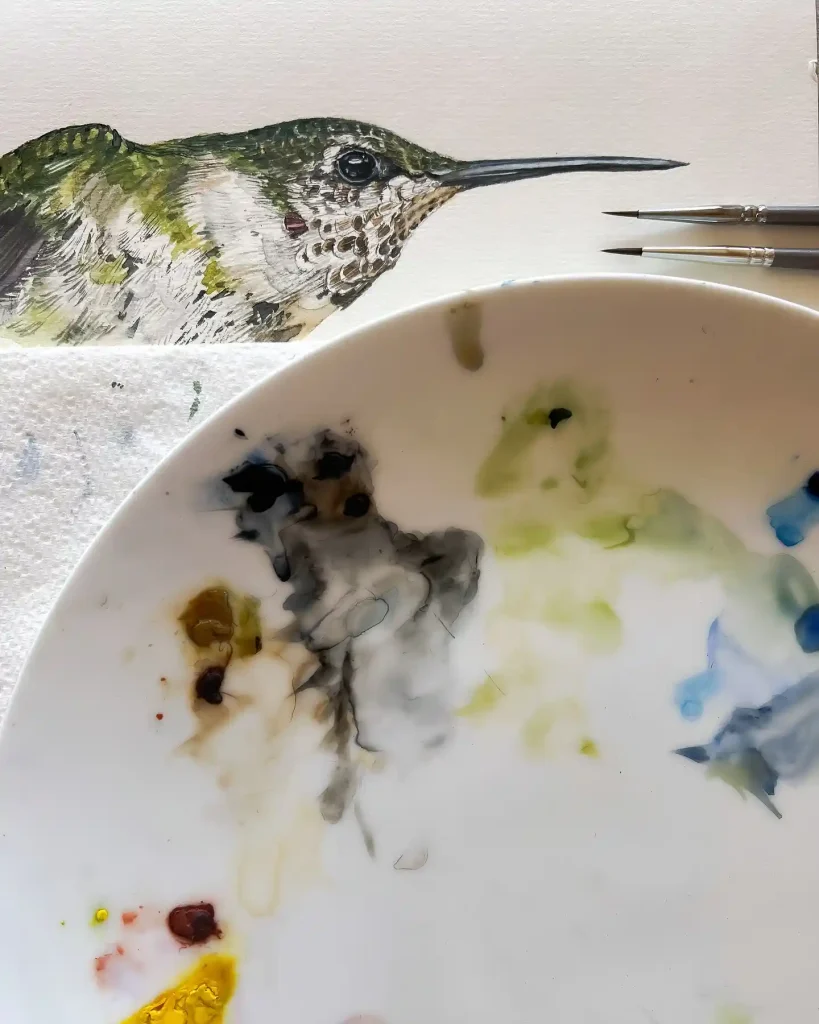 Watercolor Hummingbird Drawing Ideas
