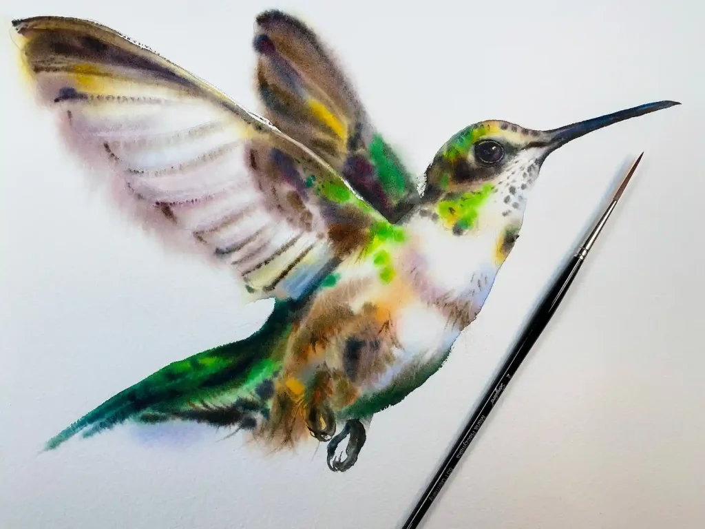 Watercolor Hummingbird Drawing Ideas