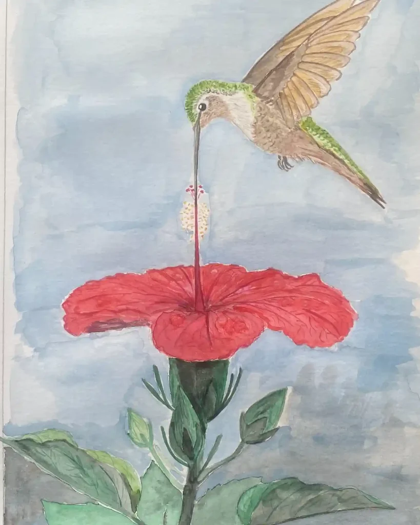 Watercolor Hummingbird Drawing Ideas