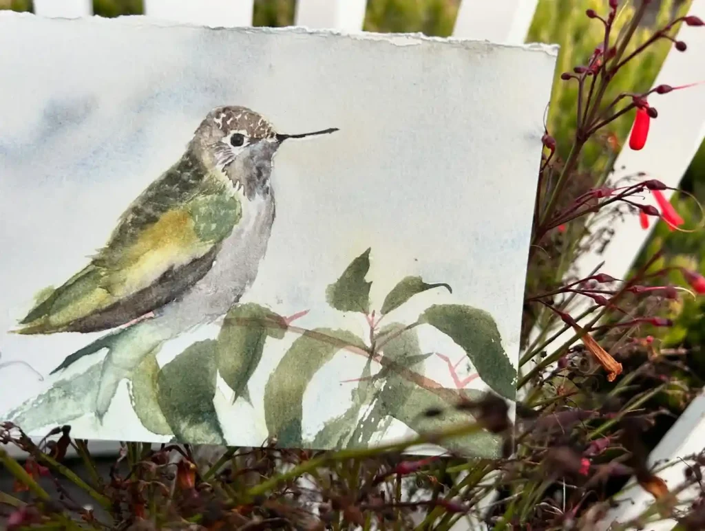 Watercolor Hummingbird Drawing Ideas