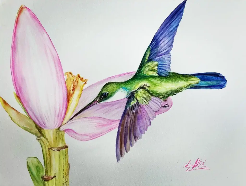 Watercolor Hummingbird Drawing Ideas