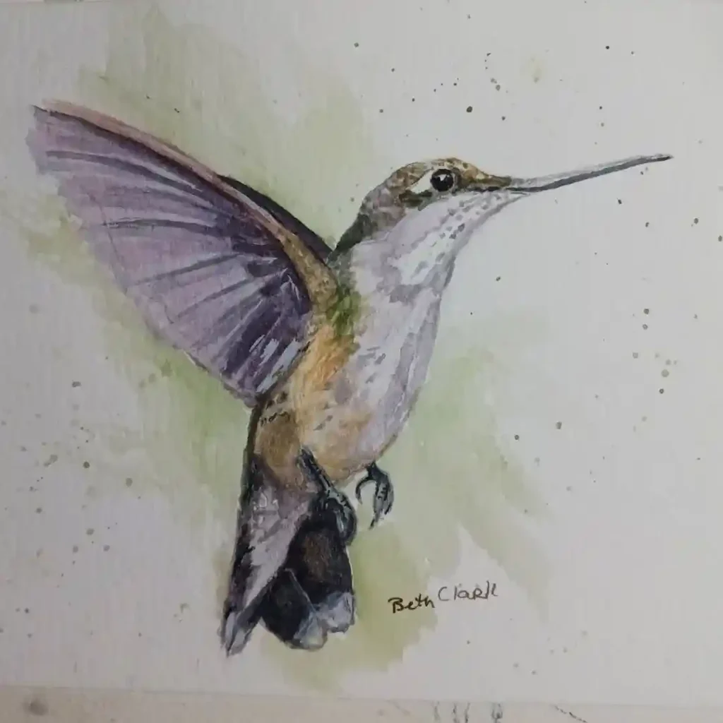 Watercolor Hummingbird Drawing Ideas
