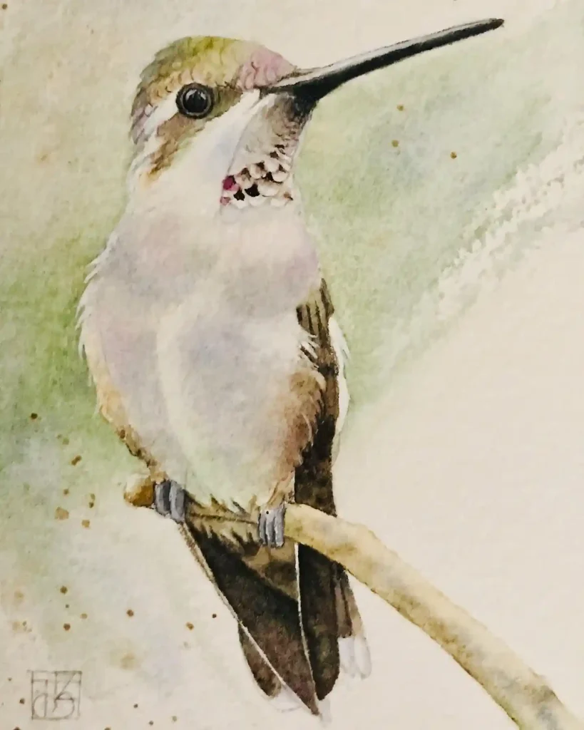 Watercolor Hummingbird Drawing Ideas