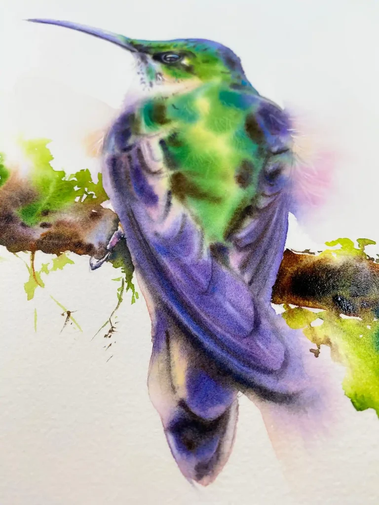 Watercolor Hummingbird Drawing Ideas