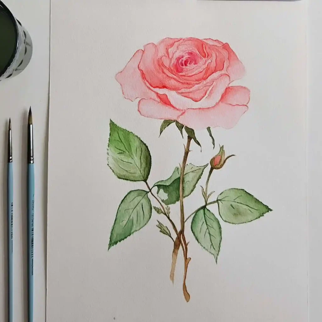 Watercolor Rose Drawing Ideas