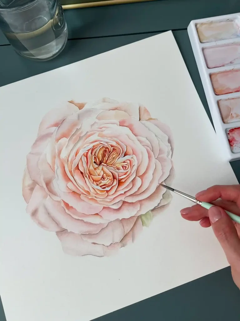 Watercolor Rose Drawing Ideas