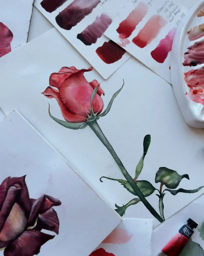 Watercolor Rose Drawing Ideas