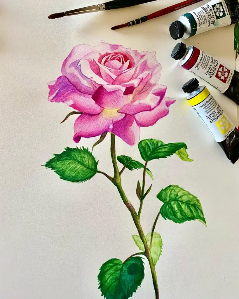 Watercolor Rose Drawing Ideas
