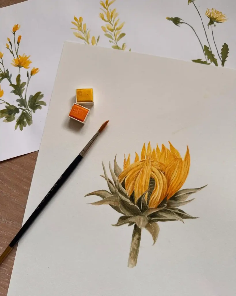 Watercolor Sunflower Drawing Ideas