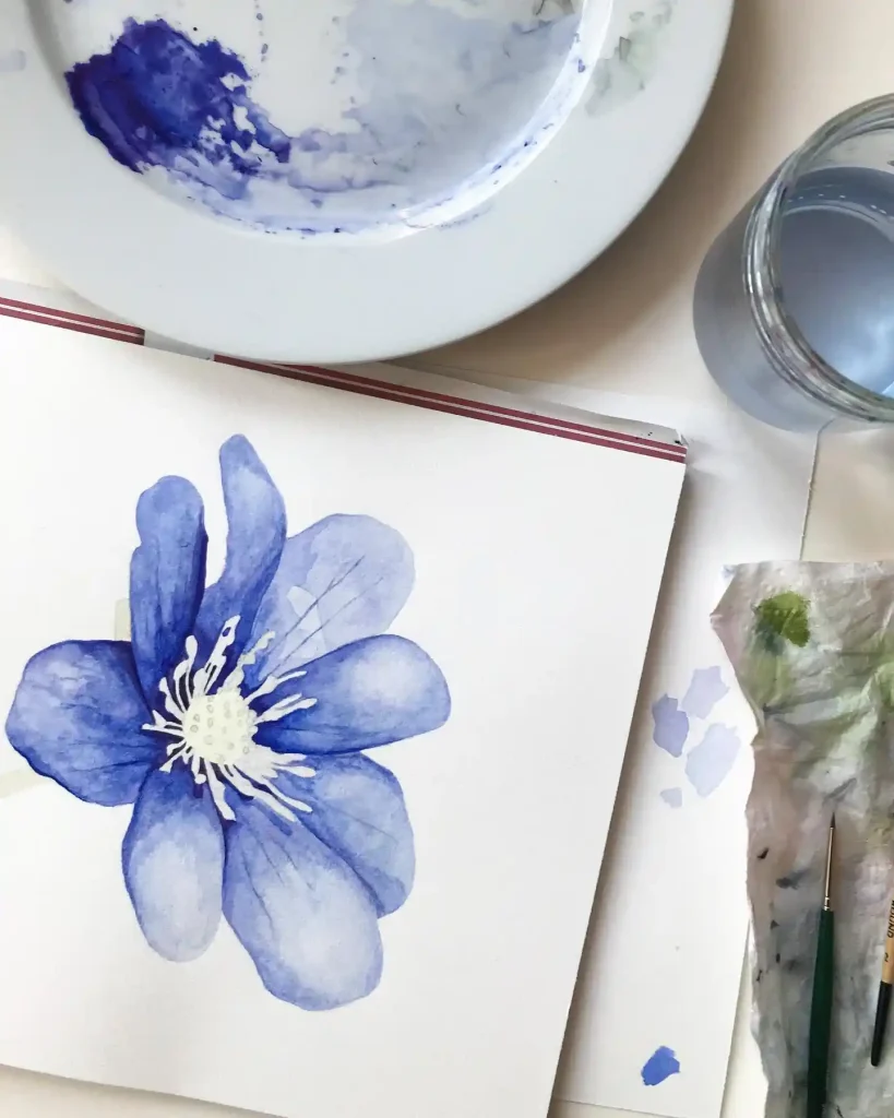 Watercolor Anemone Drawing Ideas (1)