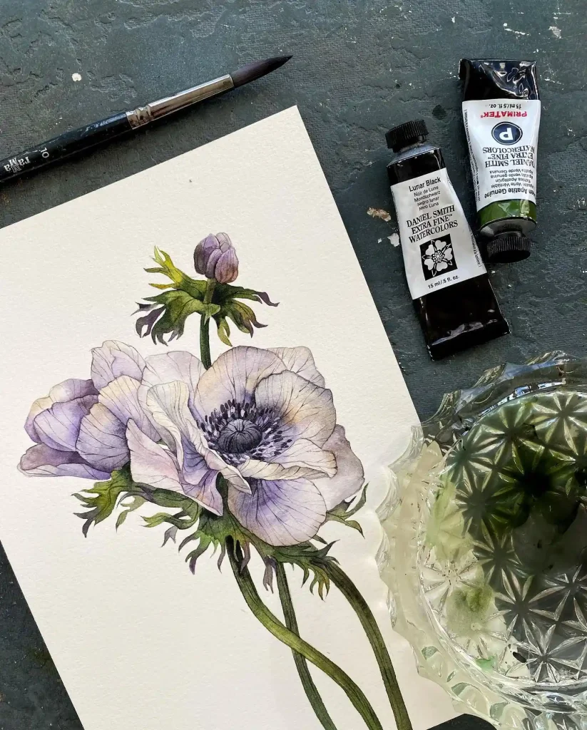 Watercolor Anemone Drawing Ideas (11)