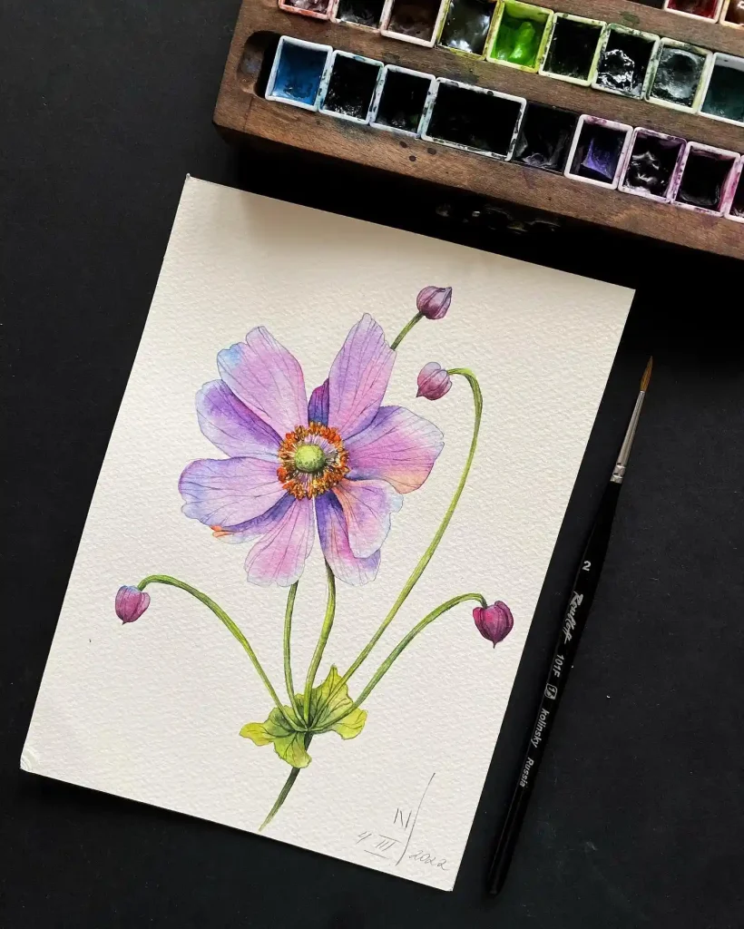 Watercolor Anemone Drawing Ideas (15)