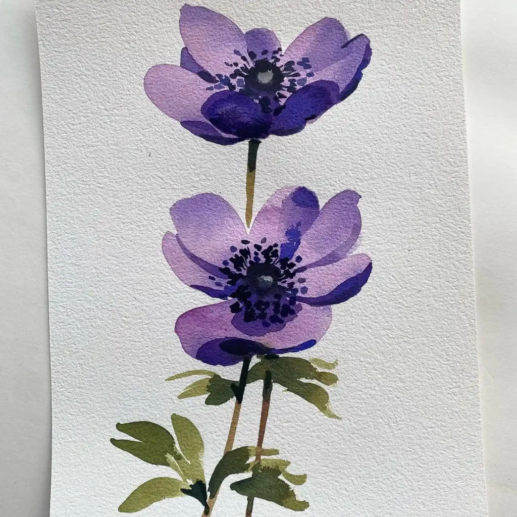 Watercolor Anemone Drawing Ideas (20)