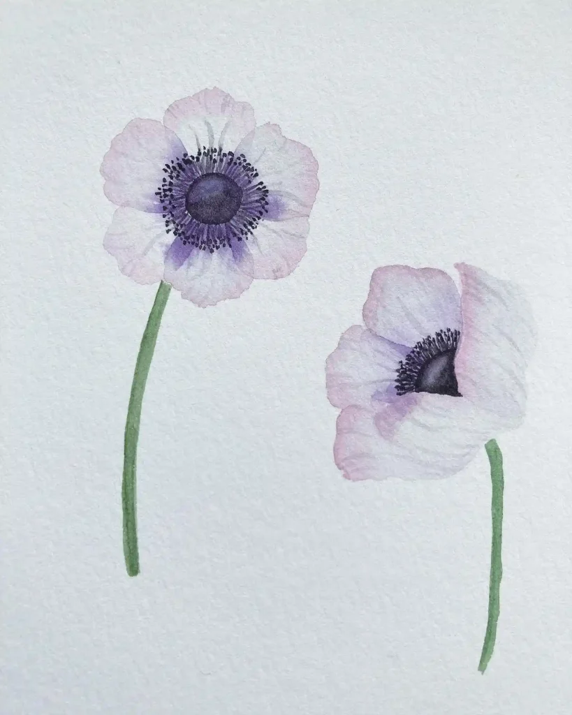 Watercolor Anemone Drawing Ideas (27)