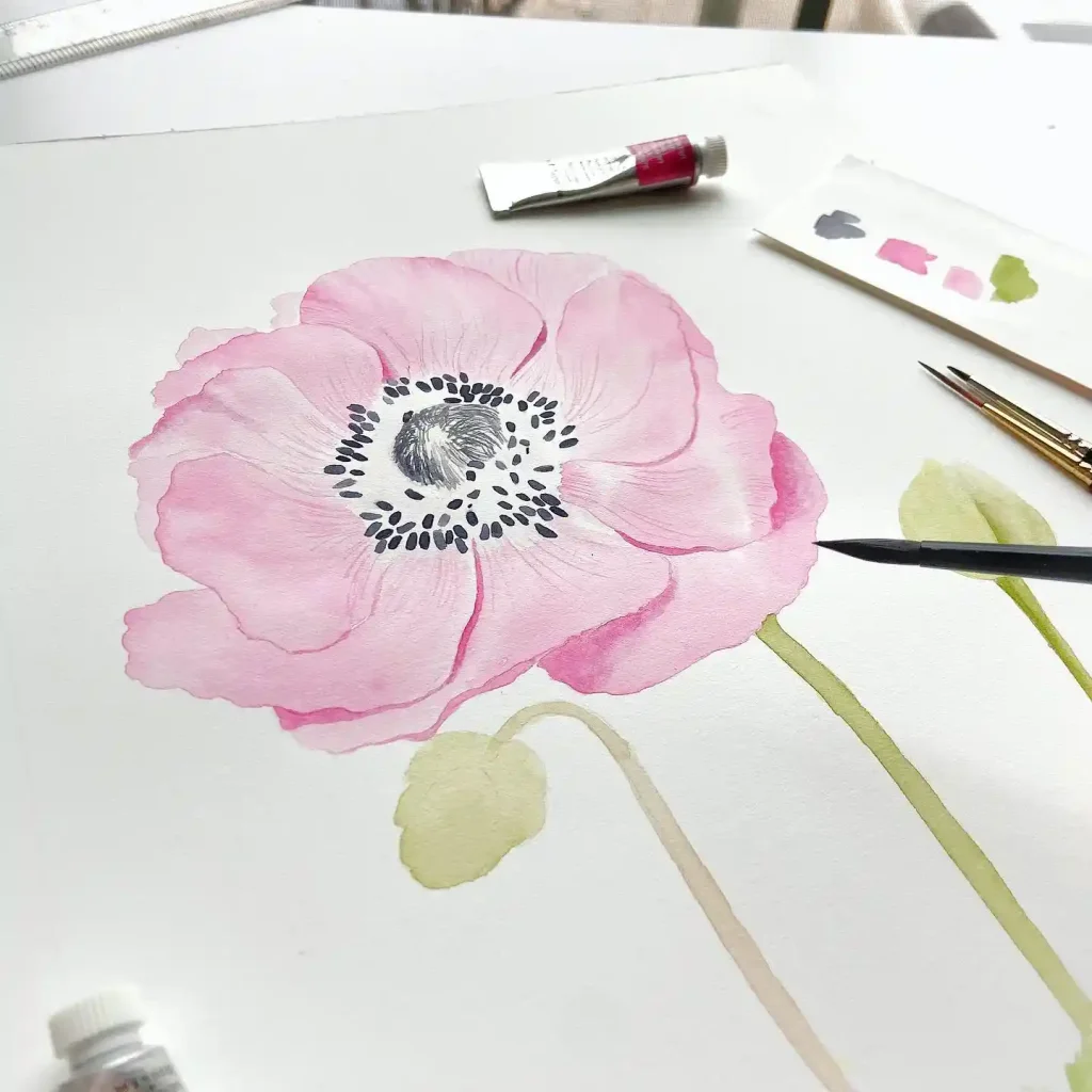 Watercolor Anemone Drawing Ideas (28)