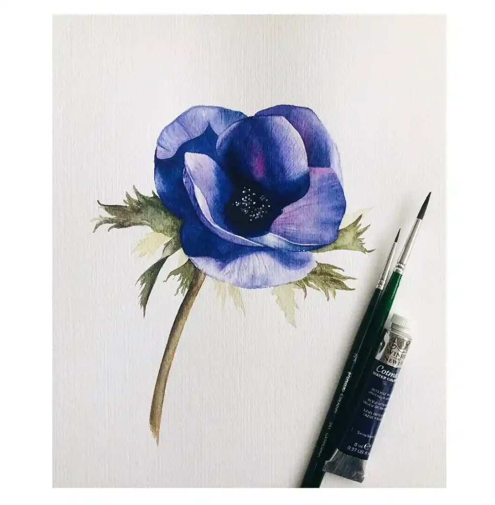 Watercolor Anemone Drawing Ideas (30)