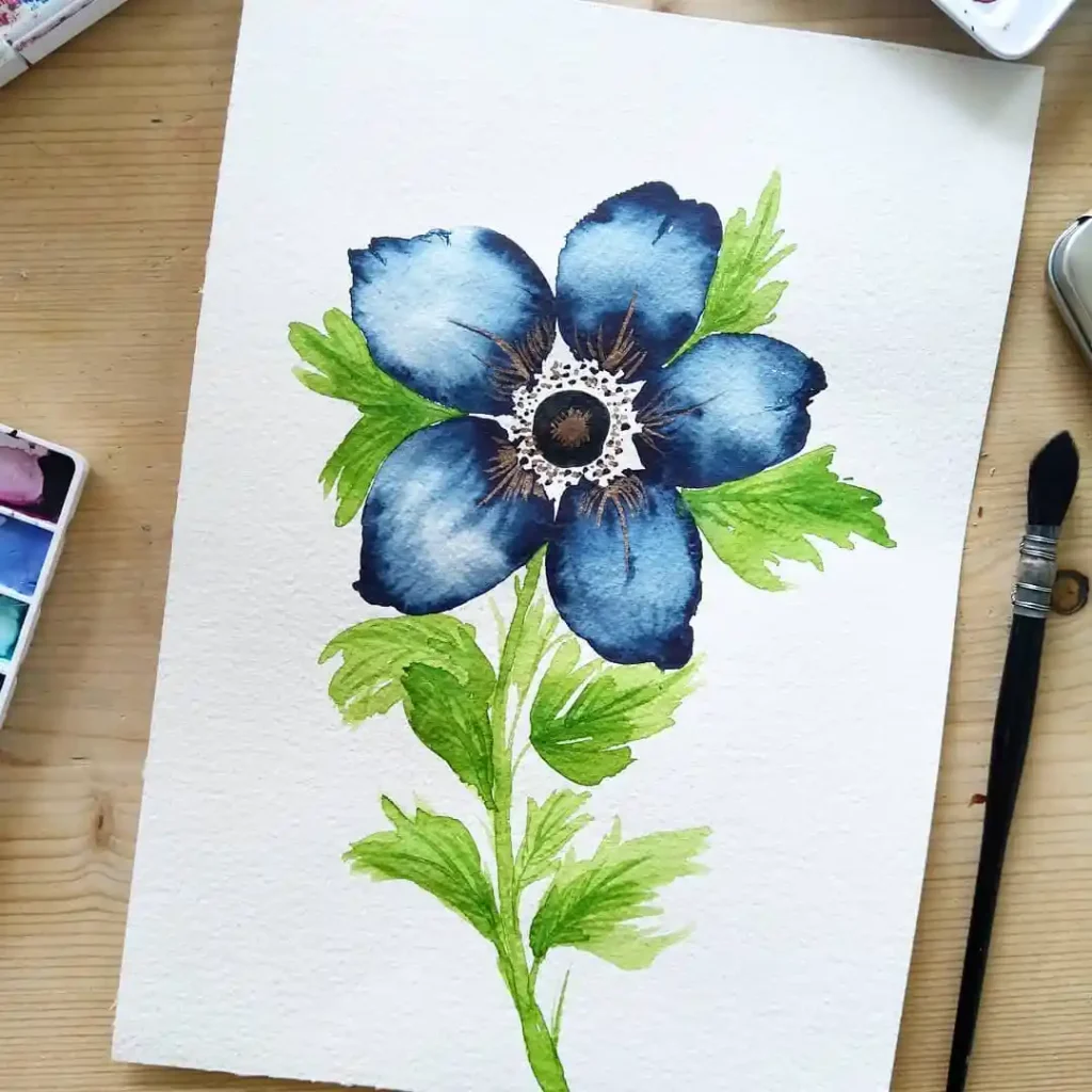 Watercolor Anemone Drawing Ideas (32)
