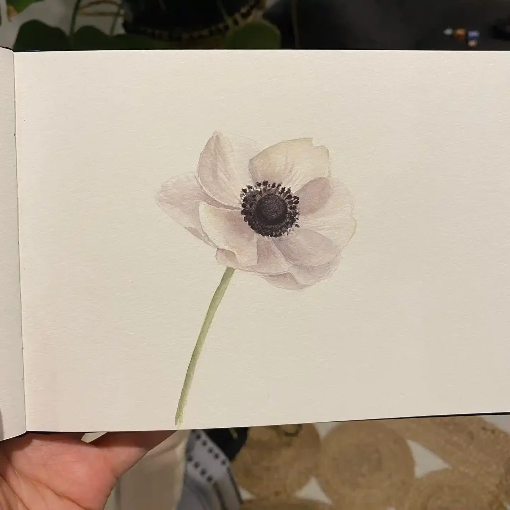 Watercolor Anemone Drawing Ideas (33)