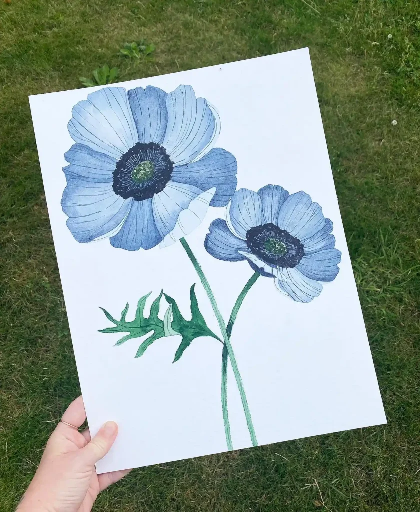 Watercolor Anemone Drawing Ideas (37)
