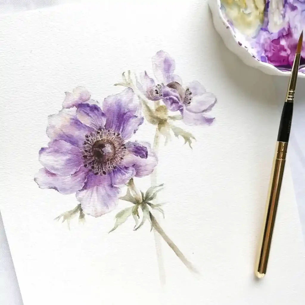 Watercolor Anemone Drawing Ideas (4)
