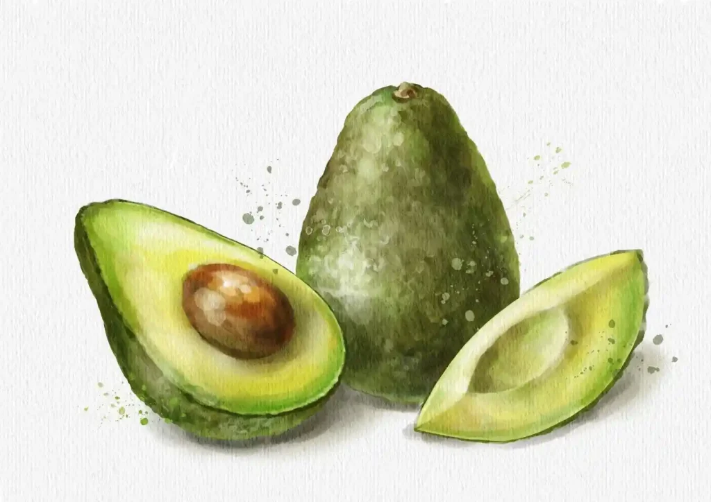 Watercolor Avocado Drawing Ideas 14