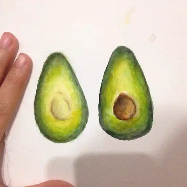 Watercolor Avocado Drawing Ideas 27
