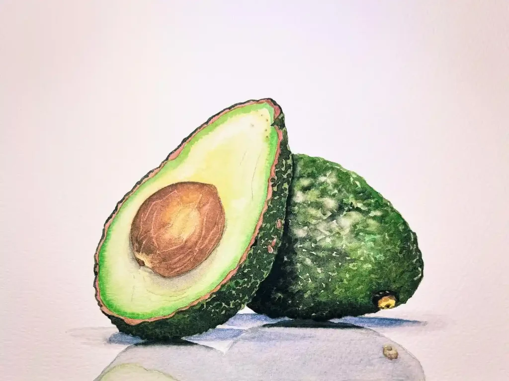 Watercolor Avocado Drawing Ideas 29