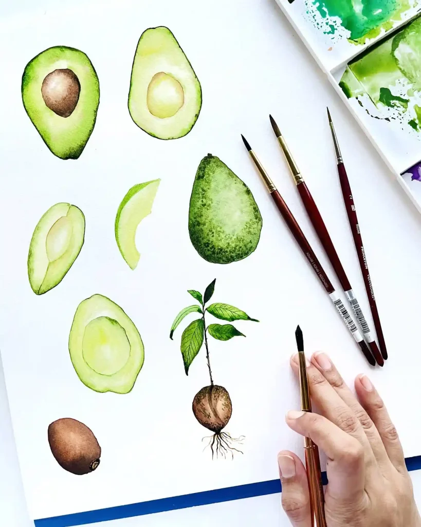 Watercolor Avocado Drawing Ideas 30
